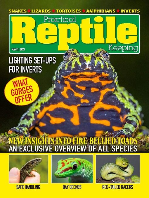 Title details for Practical Reptile Keeping by David Alderton - Available